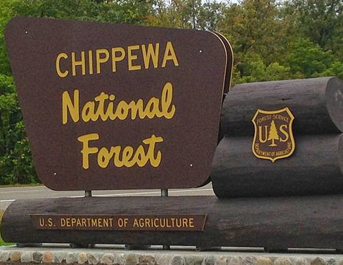 Chippewa National Forest